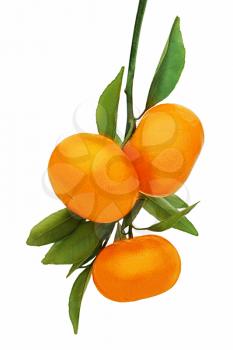 Fresh ripe tangerines with green leaves isolated on white background.