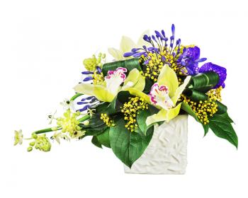 Bouquet from orchids and Arabian Star flower Ornithogalum arabicum in vase isolated on white background. Closeup.