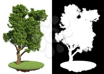 Decorative Park's Green Tree on White Background with Detail Raster Mask.