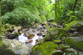  Small river bed in the lush rain forest of Panama with slow shutter showing the flow of the water