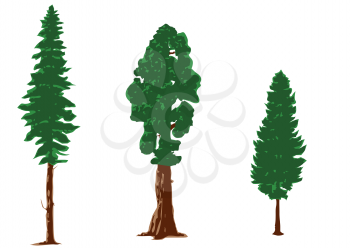 silhouettes of pine trees isolated on white