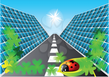 solar cells, the road and the ladybug