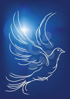 white dove in a blue sky. symbol of peace and love