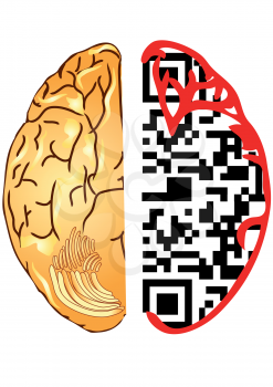 brain and qr code. the silhouette of a human head with the QR-Code 