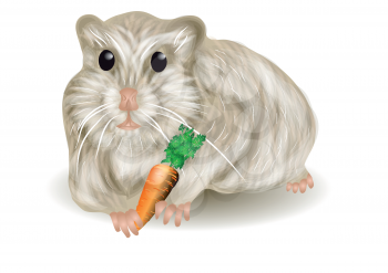 hamster on a white background. 10 EPS