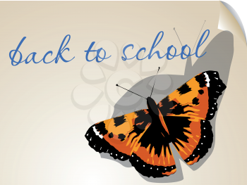 back to school. background with butterfly ans text