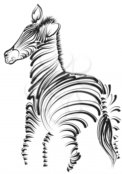 zebra. abstract animal isolated on white background