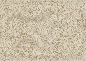 beach sand texture. Sandy beach for background. Top view