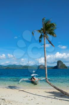 Lone curved palm tree and boat on the seashore