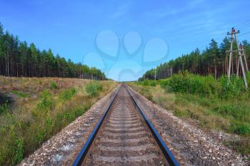 Railroad track with green forest on both sides