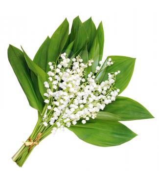 Spring flowers fragrant lilies of the valley