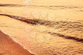 Soft Sea Ocean Waves Wash Over Golden Sand Background. Sunset, Sunrise