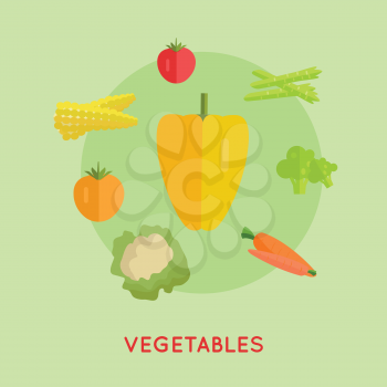 Set of vegetables vector. Flat design. Pepper, carrot, corn, cabbage, broccoli, asparagus, tomatoes illustrations for farm, shop, diet banners icons infographics Isolated on green background 