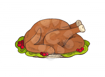 Turkey Thanksgiving day main dish isolated icon vector. Meat food cooked and roasted, served with berries, cranberry and leaves. Dinner poultry eating