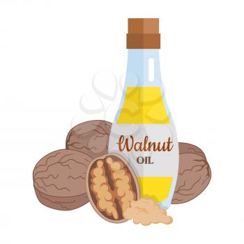 Walnut kernels with walnut oil. Ripe walnut in flat. Walnut butter in glass bottle. Several brown walnut kernels. Healthy vegetarian food. Vector illustration