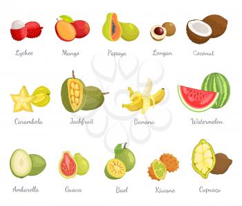 Lychee and mango fruits set with names. Ambarella and watermelon, guava and kiwano. juicy jackfruit and banana with peel. Longan and papaya vector