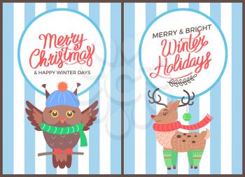 Merry Christmas and happy winter days, banner with owl in cute hat and reindeer with ball in horns, wearing knitted scarf and socks vector illustration