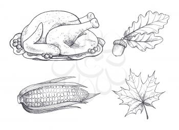 Turkey dish and maple leaves monochrome sketches outline set isolated vector. Corn and acorn, meat for Thanksgiving day, autumn harvesting holiday