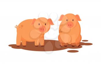 Pigs farm animals closeup. Pig-farm pink mammals in dirt, piglet breeding. Piggy in rural area, swine in dirty ground isolated on vector illustration
