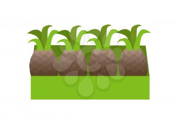 Pineapples in a green box. Box full of fresh pineapples in flat. Box of lovely pineapples. Pineapples in a row. Retail store element. Isolated vector illustration on white background.