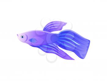 Bright lilac betta fish with big flipper banner isolated on white backdrop, vector illustration of small saltwater inhabitant, pretty underwater liver
