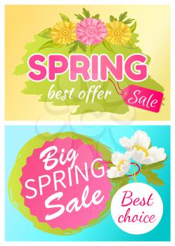 Best offer spring big sale advertisement daisy flowers and anemone blossom vector illustration color labels promo sticker with springtime buds