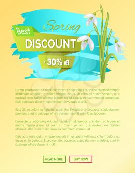 New offer discount sale spring poster with text and colorful snowdrop galanthus flowers vector web banner with push buttons read more and buy now