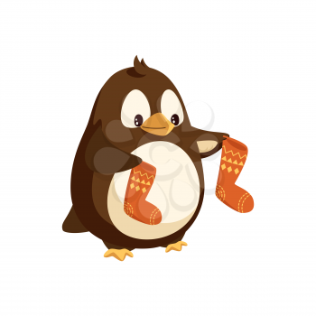 Penguin cartoon character with socks in wings vector isolated on white North Pole bird with Santa stockings, New Year and Christmas animal, cartoon style