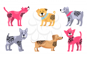 Happy dogs of different breeds icons isolated on white background. Vector illustration with rottweiler, dachshund and other pets in colorful collars