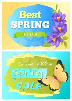 Best spring big sale advertisement labels crocus purple flowers and yellow butterfly vector illustration stickers set. Emblems with blossom of plants