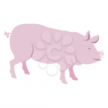Pink pig vector illustration isolated on white background. Domestic farm animal in cartoon style flat design piggy or swine mammal
