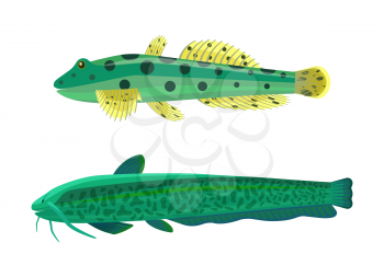Wels catfish green fish set. Limbless animals with dark spots on body. Creatures living underwater having no limbs, isolated on vector illustration
