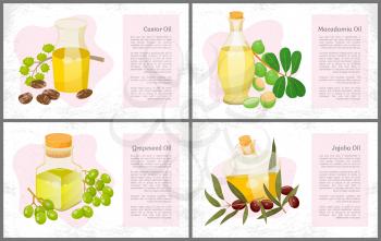 Set of pictures of organic products and information about it. Glass vessels with liquid, castor and jojoba, macadamia and grapeseed oils. Fruits and berries, nuts near bottles. Vector illustration
