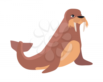 Walrus cartoon character. Cute walrus flat vector isolated on white background. Arctic fauna species. Walrus icon. Animal illustration for zoo ad, nature concept, children book illustrating