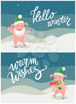 Hello winter warm wishes, Christmas New Year greeting vector. Pig holding decorated present, gift with bow wrapped in paper. Happy piglet with beard