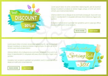 Best discount 30% off advertisement sticker colorful bouquet with three tulips and rose flower vector illustration spring collection sale web posters