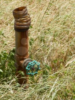 Rusty valve in the middle of a field of grass