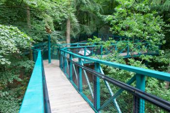 Green pathway through the trees, nature walk