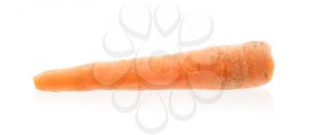 Fresh carrot isolated on a white background