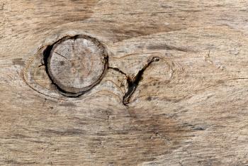 Old wood background, large knot in the wood