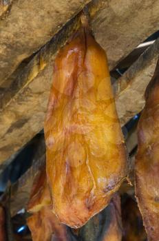 Iceland's fermented shark at Bjarnarhofn Shark Museum (drying house, Iceland)