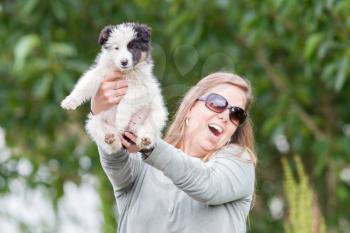 Small Border Collie puppy resting in the arms of a woman