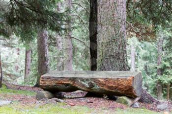 Old wooden park bench in a park
