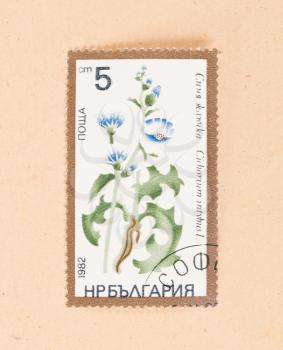 RUSSIA - CIRCA 1982: A stamp printed in Russia shows a flower, circa 1982