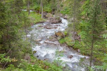 Waterfall in the forest, raging water in Switzerland