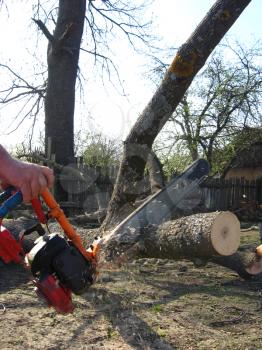 The man sawing the firewoods by petrol saw
