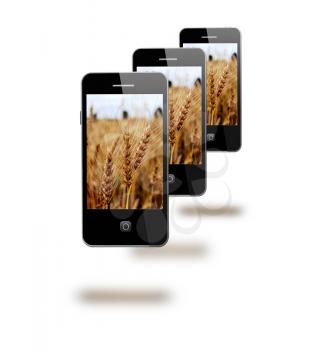 modern mobile phones with images os fields of wheat