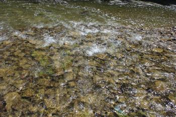 little beautiful streams of speed water in mountainous river