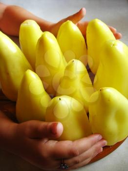 the image of hands embracing yellow pepper