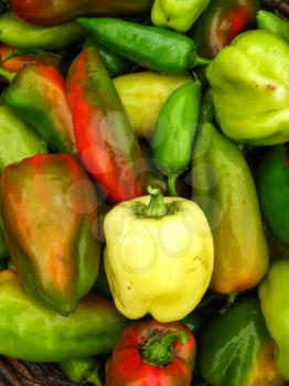 the image of a lot of sweet bulgarian ripe peppers